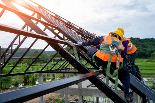 Best Roof Maintenance Services  in Howard City, MI