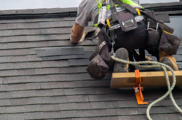 Best Sealant for Roof  in Howard City, MI