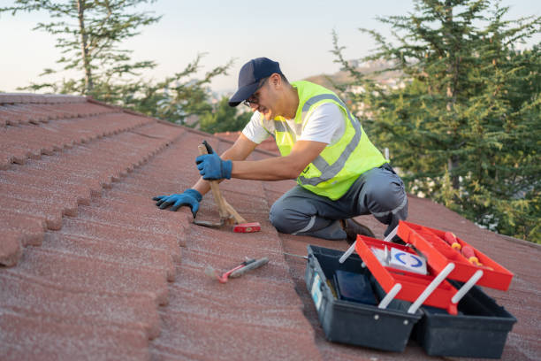Best Shingle Roofing Installation  in Howard City, MI
