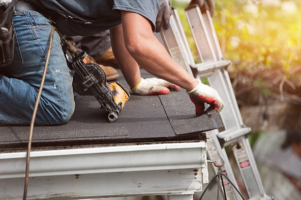 Best Sealant for Roof  in Howard City, MI