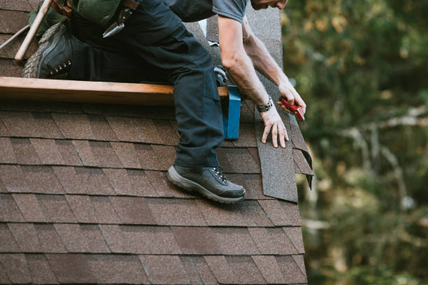 Best Residential Roofing Contractor  in Howard City, MI