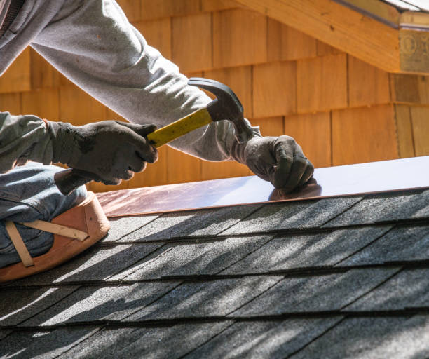 Best Residential Roof Replacement  in Howard City, MI